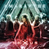 The Nexus (Commentary) artwork