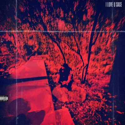 HOW TO BECOME A TRAPPER - Single