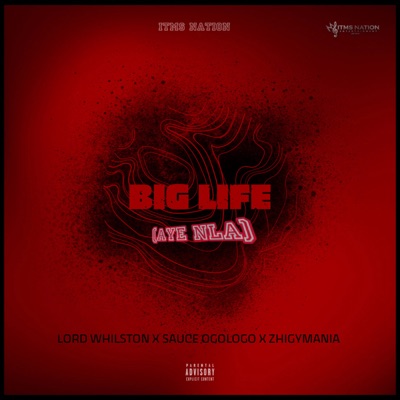 Big Life (Aye Nla) - Single