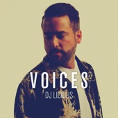 Voices artwork