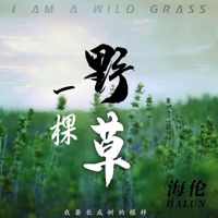 一颗野草 - Single - Helen