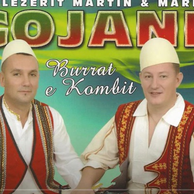 Zejnun Stojku (feat. Mark Gojani) - Single