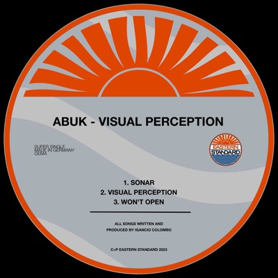 Visual Perception - Single