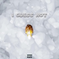 I Guess Not :/ - Single - Stiffic