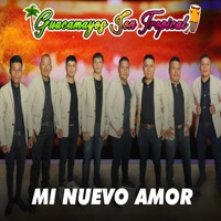 Mi nuevo amor