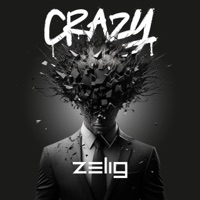 Crazy - Single - Zelig
