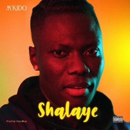Shalaye (Alujo Version) M'kido