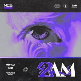 2Am Wyko, SIIK & Shitz