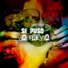 Alexis Jestin Mala Suerte (feat. Justin Quiles) Se puso la previa