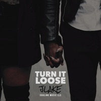 Turn It Loose - Single - Jlake