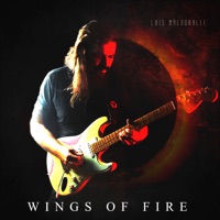 Wings of Fire (feat. Pedro Costa) - Single - Luis Maldonalle