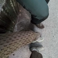 Euphoria - Single - WARDAN