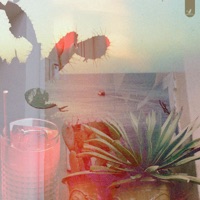 Cactus Juice - Single - Cloudsurfin' & Lightflower