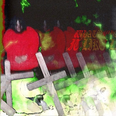 Whats It Like ? - Single