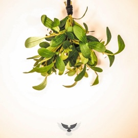 Mistletoe Cheeba Hawk