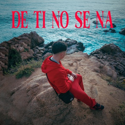 DE TI NO SE NA - Single