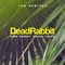 Mind the Gap (feat. Sola Plexus) [Symbiz Remix] - Dead Rabbit lyrics
