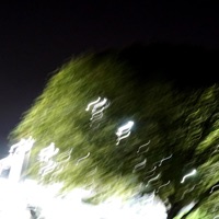 VALENTINE (priceless) - Single - Kid Mango