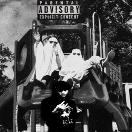 Slide Ant6x