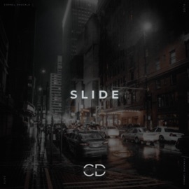 Slide Cornel Dascalu