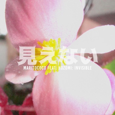 Invisible 見えない (feat. Nozomi) - Single