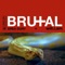 Brutal (feat. will.i.am) - Drea Dury lyrics