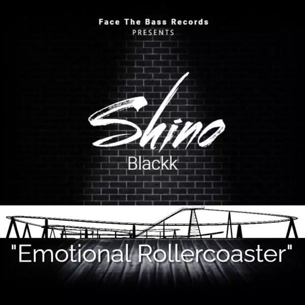 Emotional Rollercoaster - Single