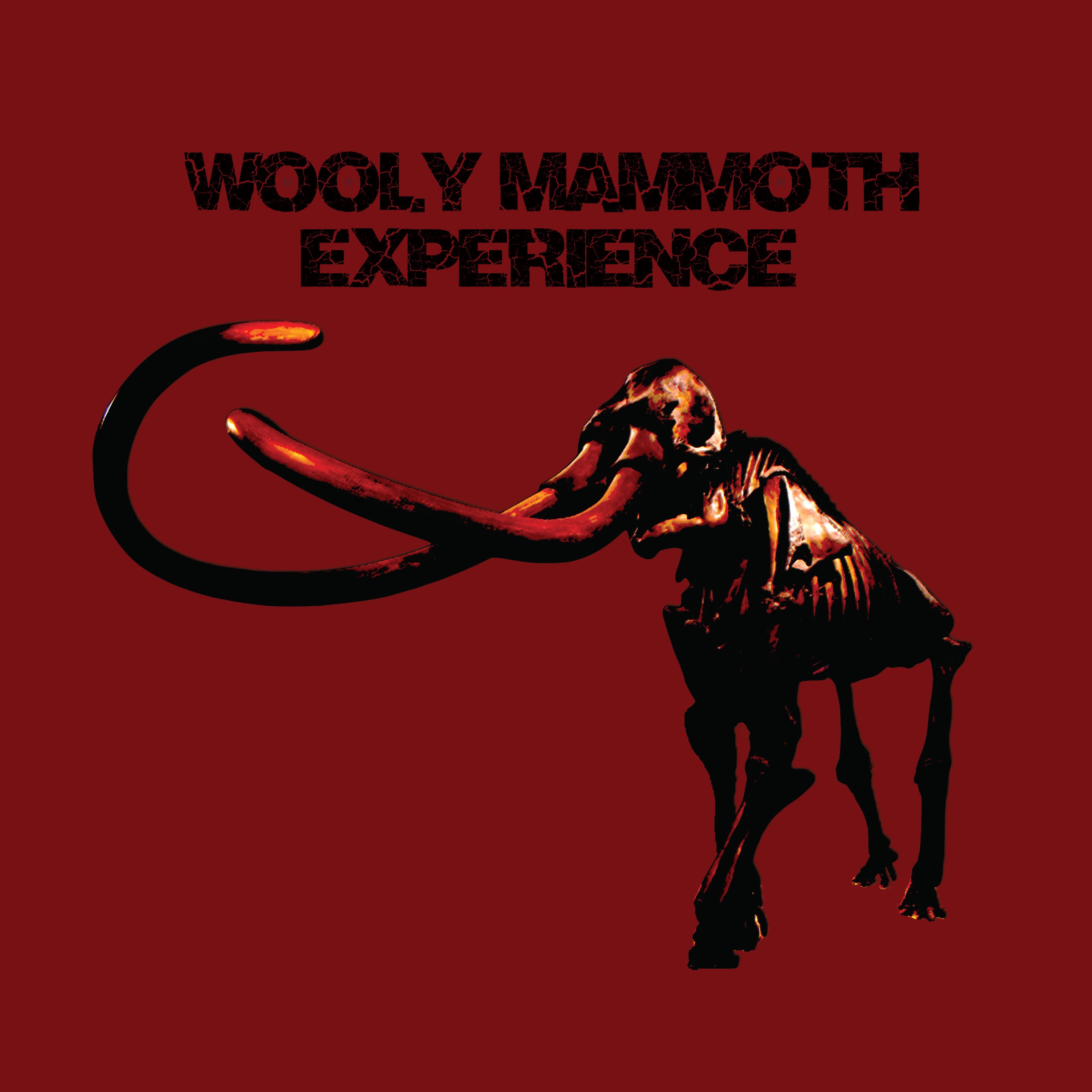 Wooly Mammoth Experience
