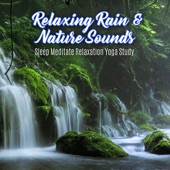 Great Relaxation - Tropical Storm Heavy Rain