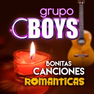 Bonitas Canciones Románticas (Grupero)