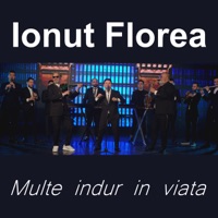Multe indur in viata - Single - Ionut Florea
