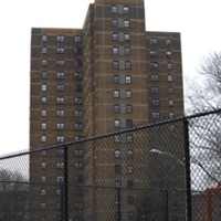 PAin - Single - Loon