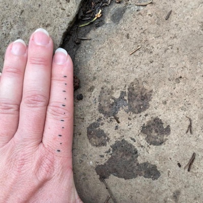 Sunrise Hospitality - Single