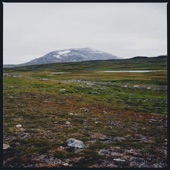 Tundra - EP artwork