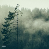 Tåkedans - Single - Elveklang