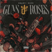 Guns and Roses artwork