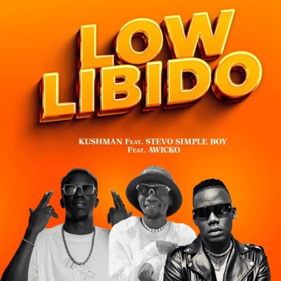 Low Libido (feat. Awicko & Stevo Simple Boy) - Single