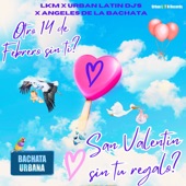 Otro 14 de Febrero sin ti, San Valentin sin tu regalo ? (Bachata Urbana) artwork