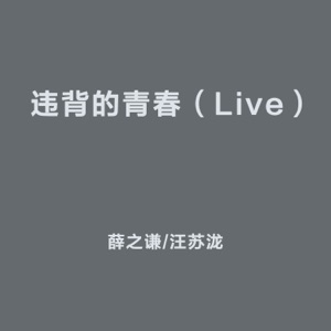 违背的青春 (Live)