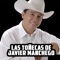 Linda, Bonita y Hermosa - Javier Manchego lyrics