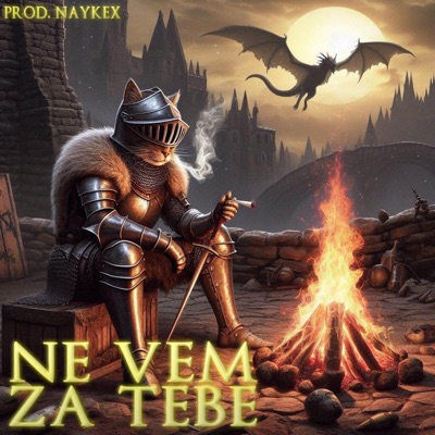 Ne Vem Za Tebe - Single