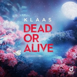 Dead Or Alive Klaas