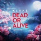 Dead Or Alive Single