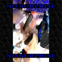 No Surprise - Single - Vektorcrush