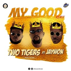 My Good (Jaywon Remix) Two tigers