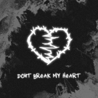 Dont Break My Heart - Single - Fatyzzz & Syelore