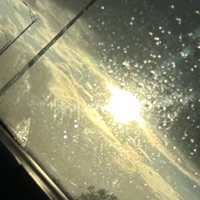 Weak - Single - Nytco