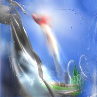 Around the World - Single - Acounta