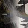 Veselka cover art