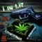 i Be Lit (feat. Dj Soundstorm) - Mr Poetic) Lovepayne92 lyrics